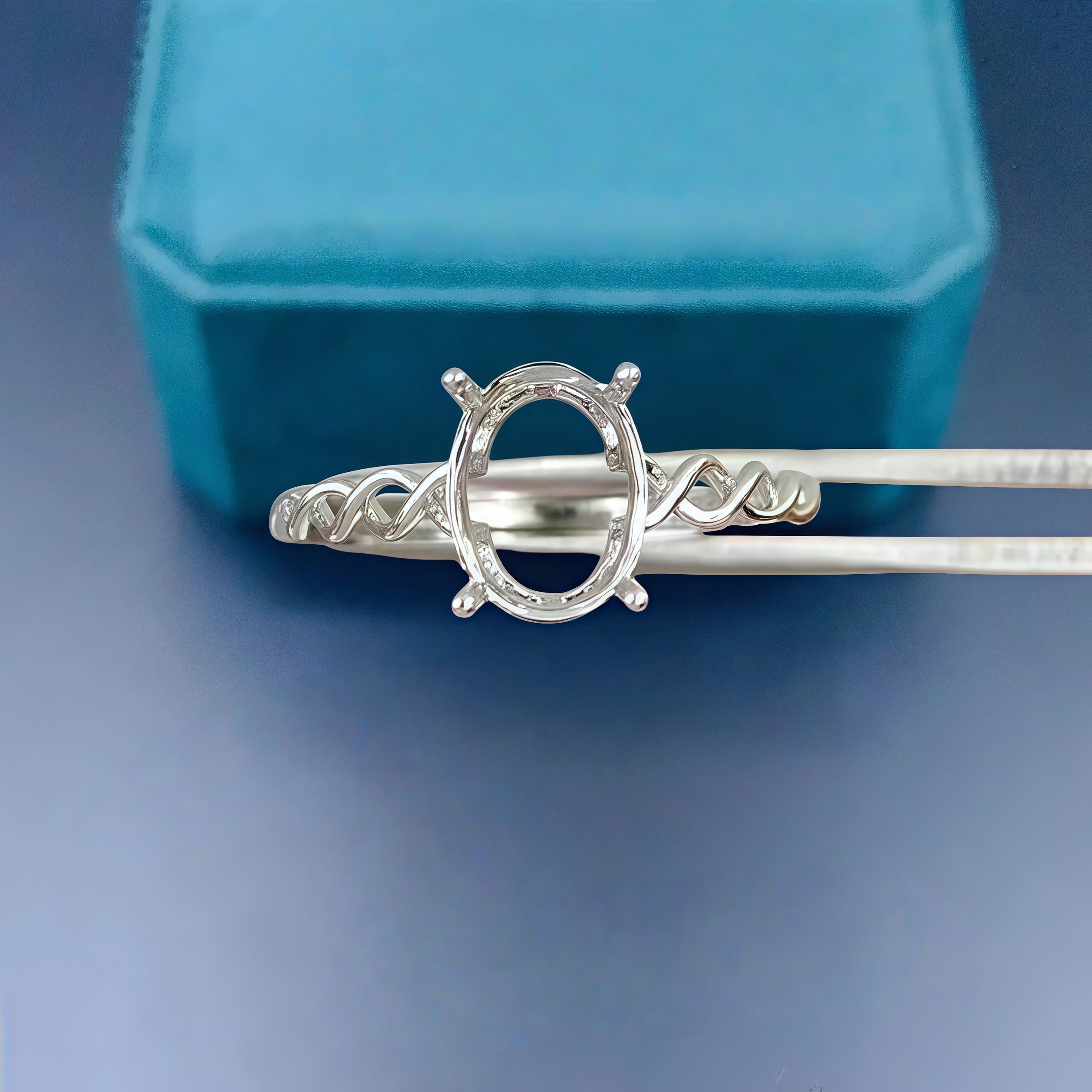 DIY Empty Ring Holder S925 Ste - Women'S Accessories Rings reseña y precio